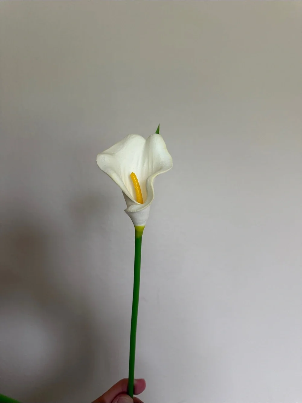 White Calla Lily Stem Decorative Accent - Unbranded